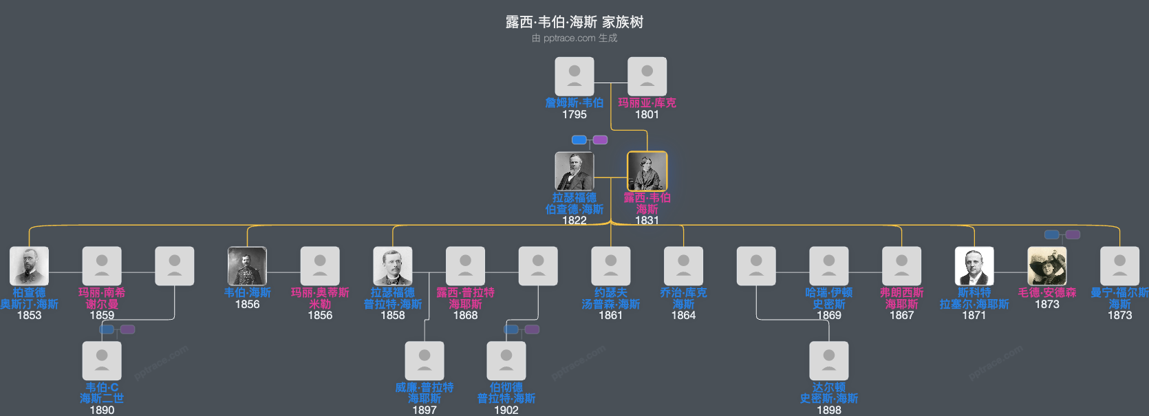 露西·韦伯·海斯家族树全览