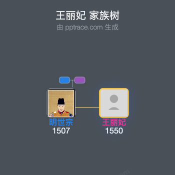 王丽妃家族树全览