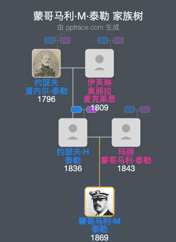 蒙哥马利·M·泰勒家族树全览