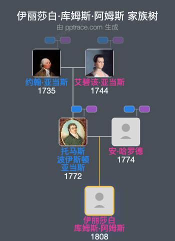 伊丽莎白·库姆斯·阿姆斯家族树全览