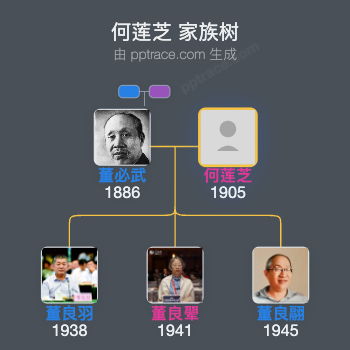 何莲芝 家族树全览