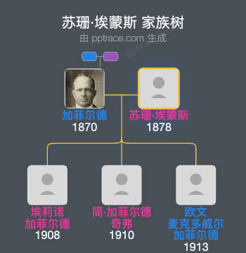 苏珊·埃蒙斯家族树全览