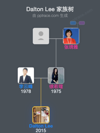 Dalton Lee 家族树全览