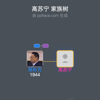 高苏宁 家族树全览