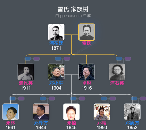 雷氏 家族树全览