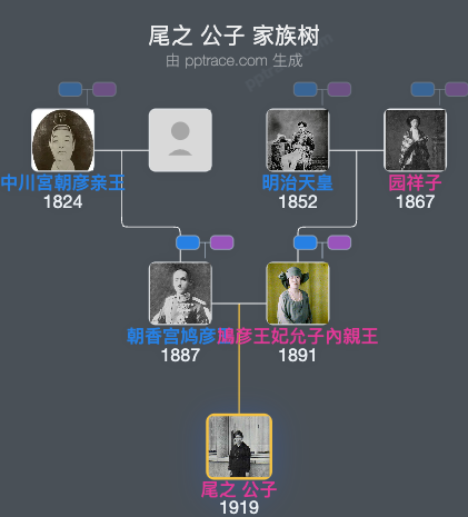 尾之 公子家族树全览