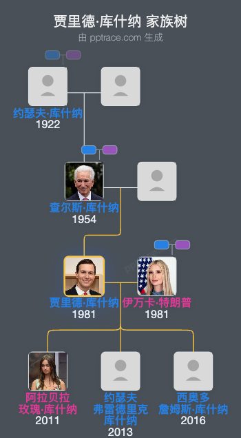 贾里德·库什纳家族树全览