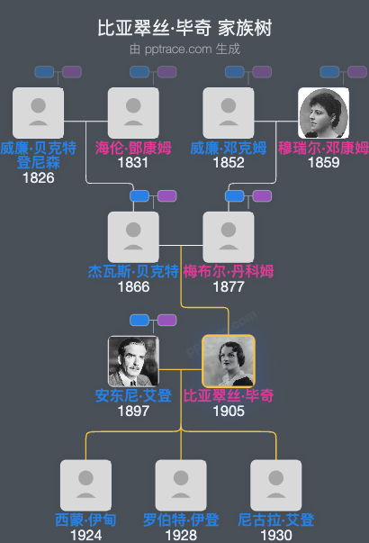 比亚翠丝·毕奇家族树全览