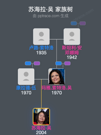 苏海拉·吴家族树全览