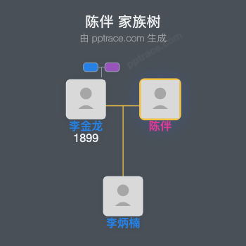 陈伴家族树全览