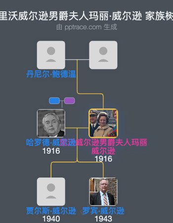 里沃威尔逊男爵夫人玛丽·威尔逊家族树全览