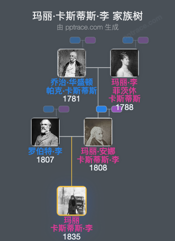 玛丽·卡斯蒂斯·李家族树全览