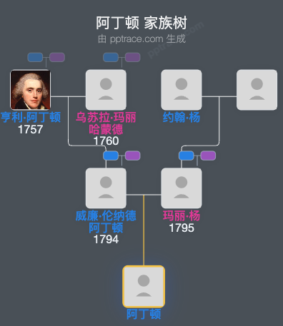 阿丁顿家族树全览