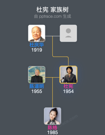 杜宪 家族树全览