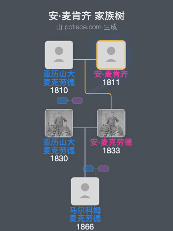 安·麦肯齐家族树全览
