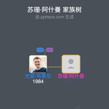 苏珊·阿什曼家族树全览