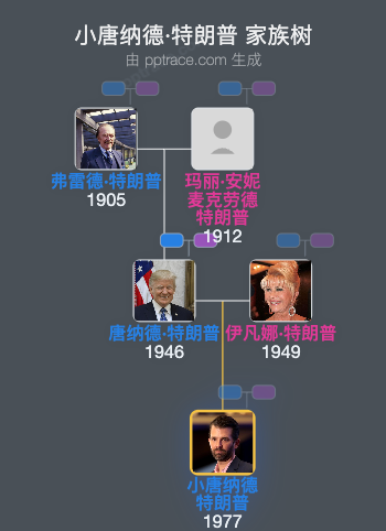 小唐纳德·特朗普 家族树全览