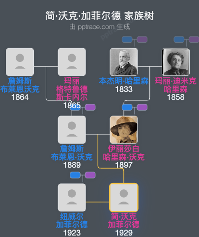 简·沃克·加菲尔德家族树全览