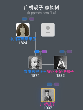 广桥规子家族树全览