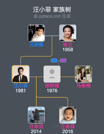 汪小菲 家族树全览