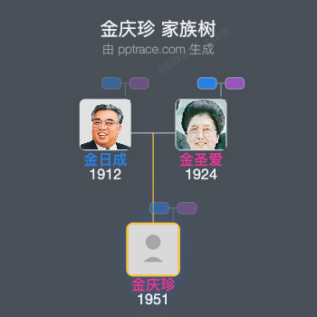 金庆珍 家族树全览