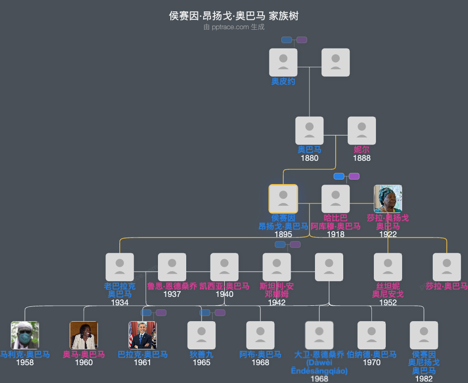 侯赛因·昂扬戈·奥巴马家族树全览