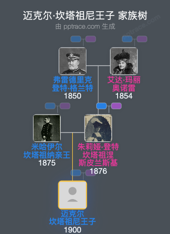 迈克尔·坎塔祖尼王子家族树全览