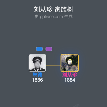 刘从珍 家族树全览