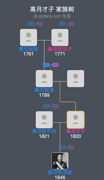 高月才子家族树全览