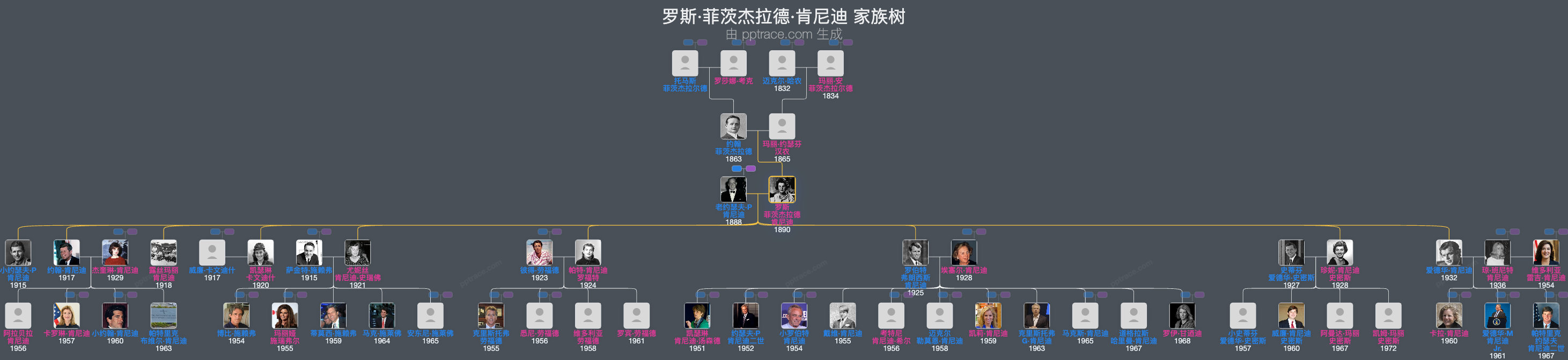 罗斯·菲茨杰拉德·肯尼迪家族树全览