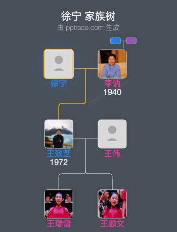 徐宁 家族树全览