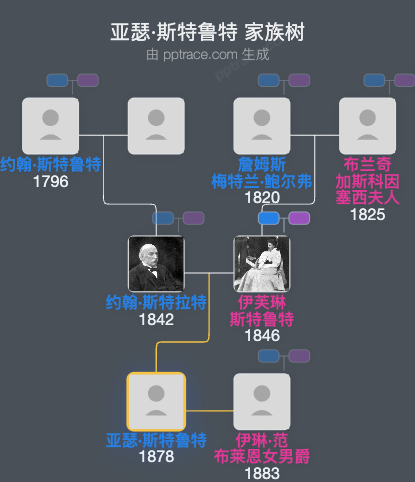 亚瑟·斯特鲁特家族树全览