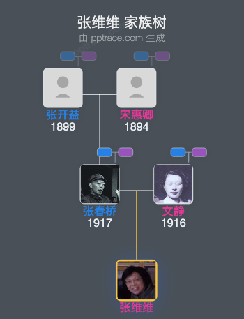张维维 家族树全览