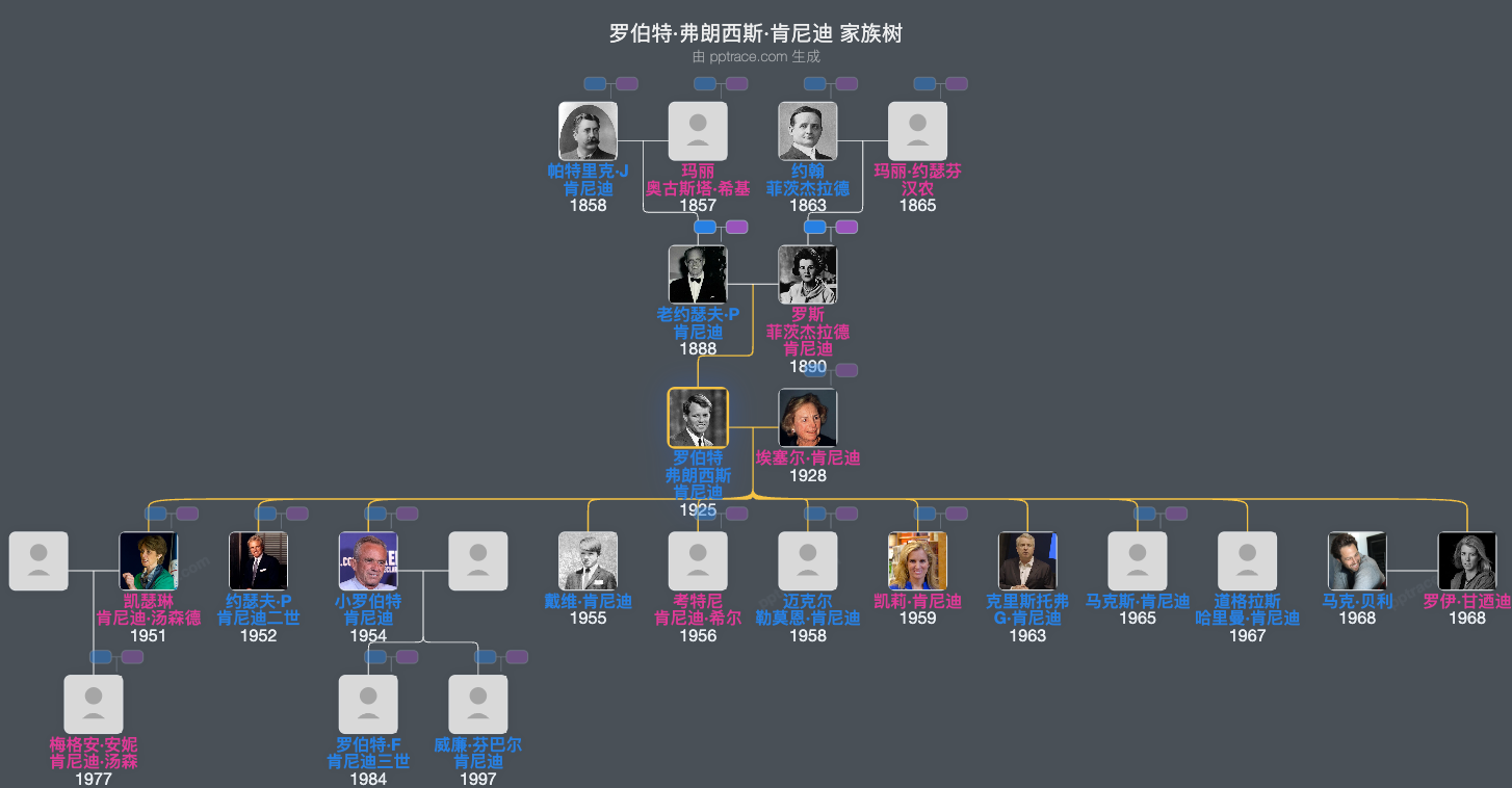 罗伯特·弗朗西斯·肯尼迪家族树全览