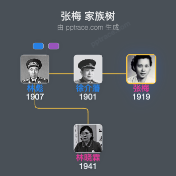 张梅 家族树全览