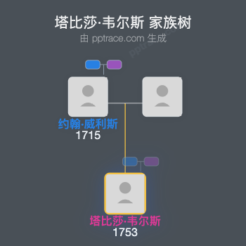 塔比莎·韦尔斯家族树全览