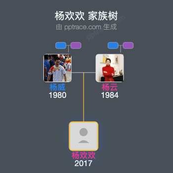 杨欢欢家族树全览