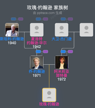 玫瑰·约翰逊家族树全览