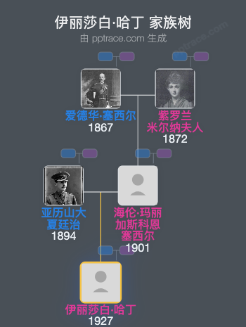 伊丽莎白·哈丁家族树全览