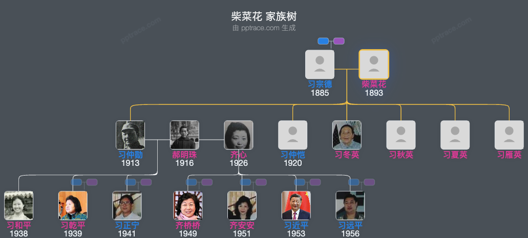 柴菜花 家族树全览