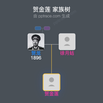 贺金莲 家族树全览