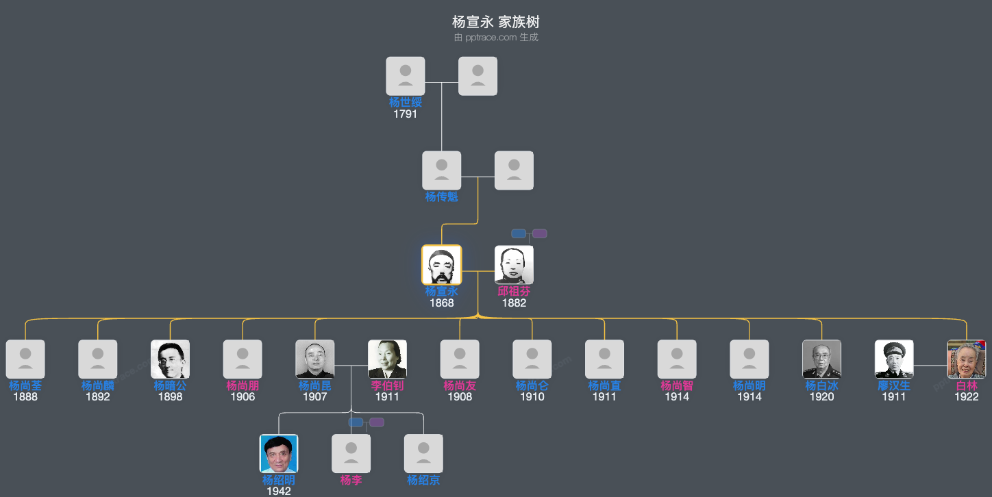 杨宣永 家族树全览