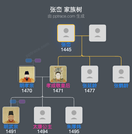张峦家族树全览