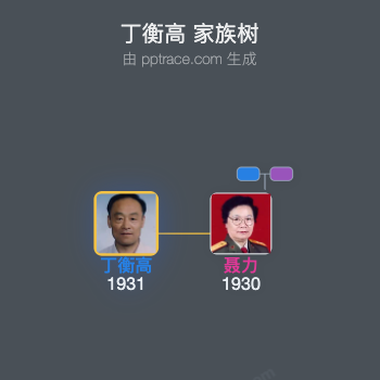 丁衡高 家族树全览