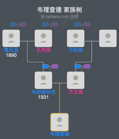 韦理查德 家族树全览