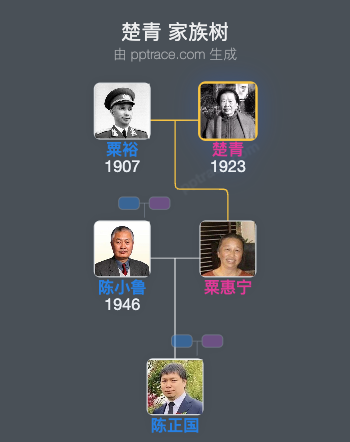 楚青 家族树全览
