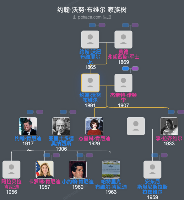 约翰·沃努·布维尔家族树全览