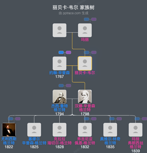 丽贝卡·韦尔家族树全览