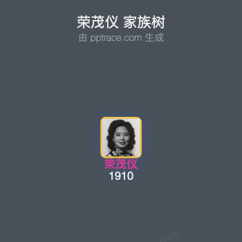 荣茂仪 家族树全览