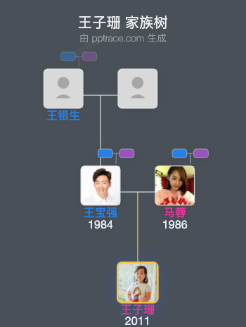 王子珊 家族树全览